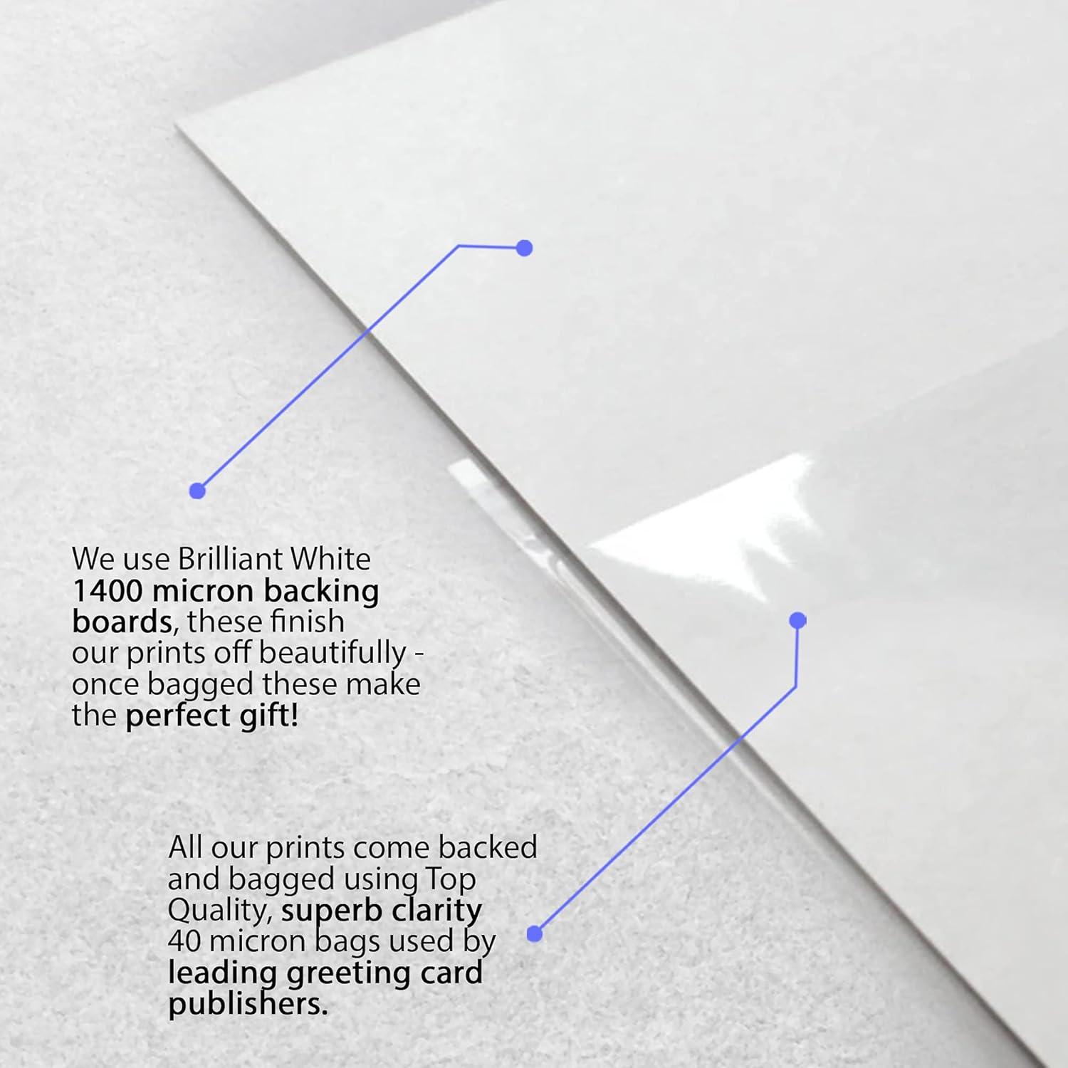 Exhibición Jude Bellingham Firmada - Regalo para Aficionados