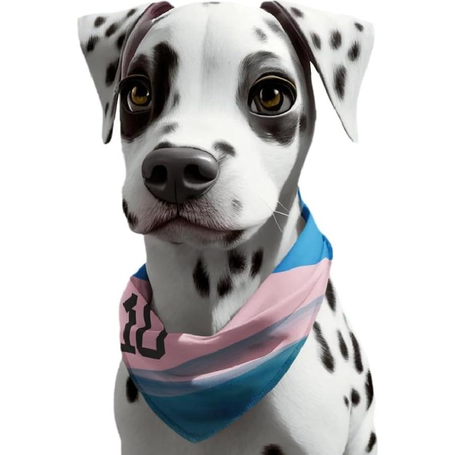 Bandana Multifuncional de Fútbol Messi UPF50+ 25x50 cm