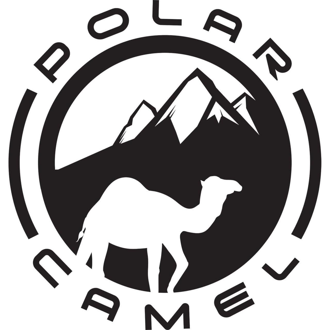 Botella de Agua Polar Camel 600 ml Acero Inoxidable Azul