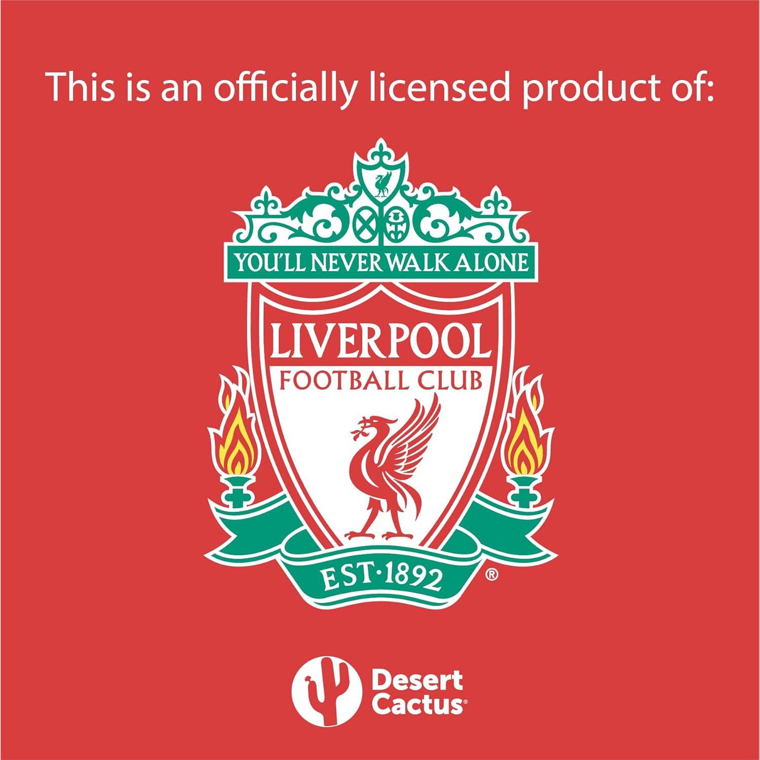 Llavero Liverpool FC Cactus del Desierto - Acrílico 16.1cm