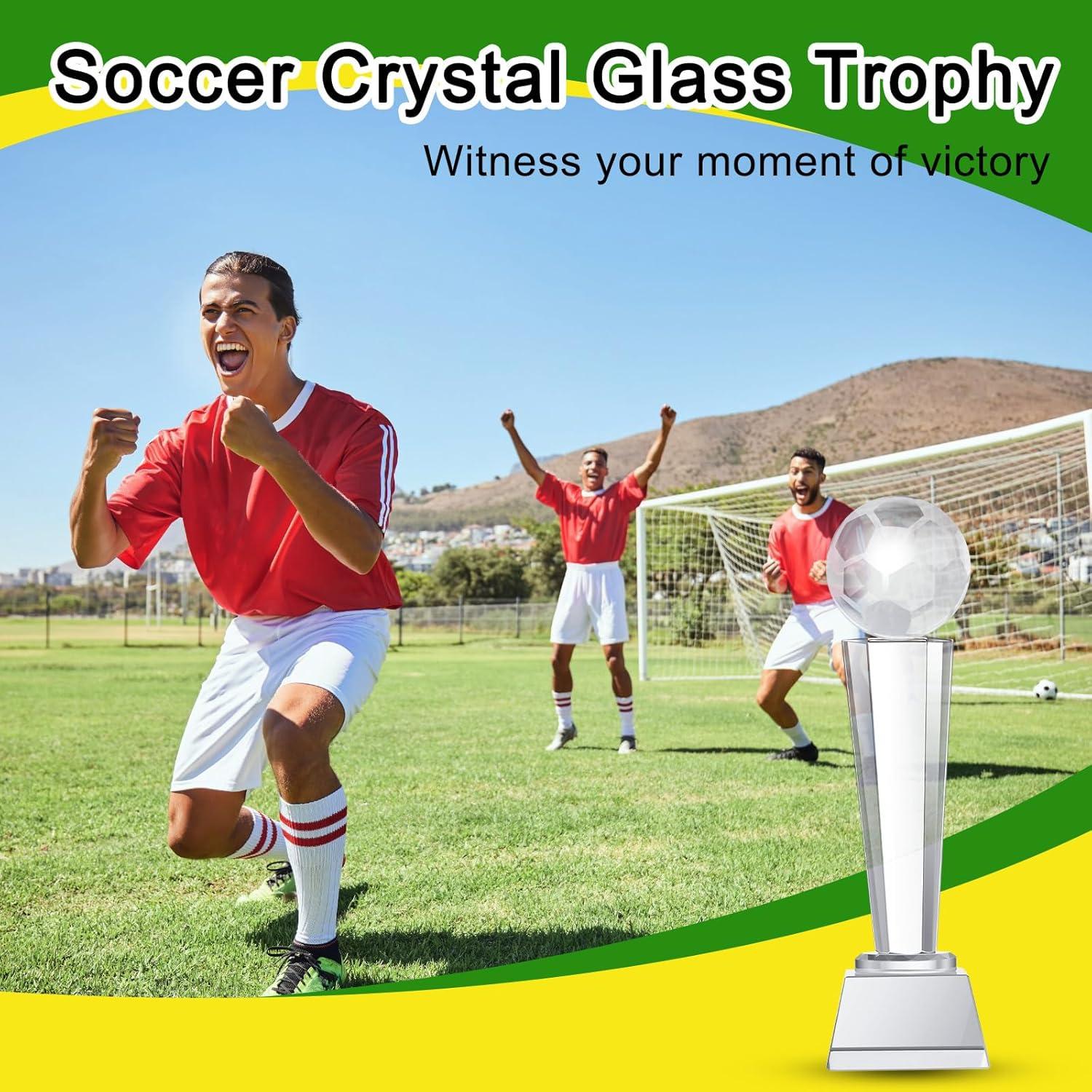 Trofeo de Cristal Meooeck 23x7 cm con Caja de Regalo - 2 Pcs