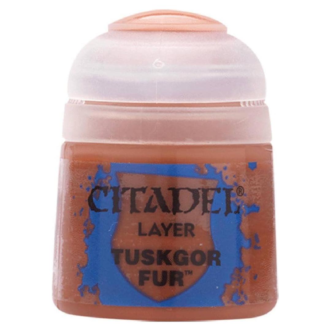 Pintura Acrílica Citadel CITADEL 12 ml Pelaje de Tuskgor