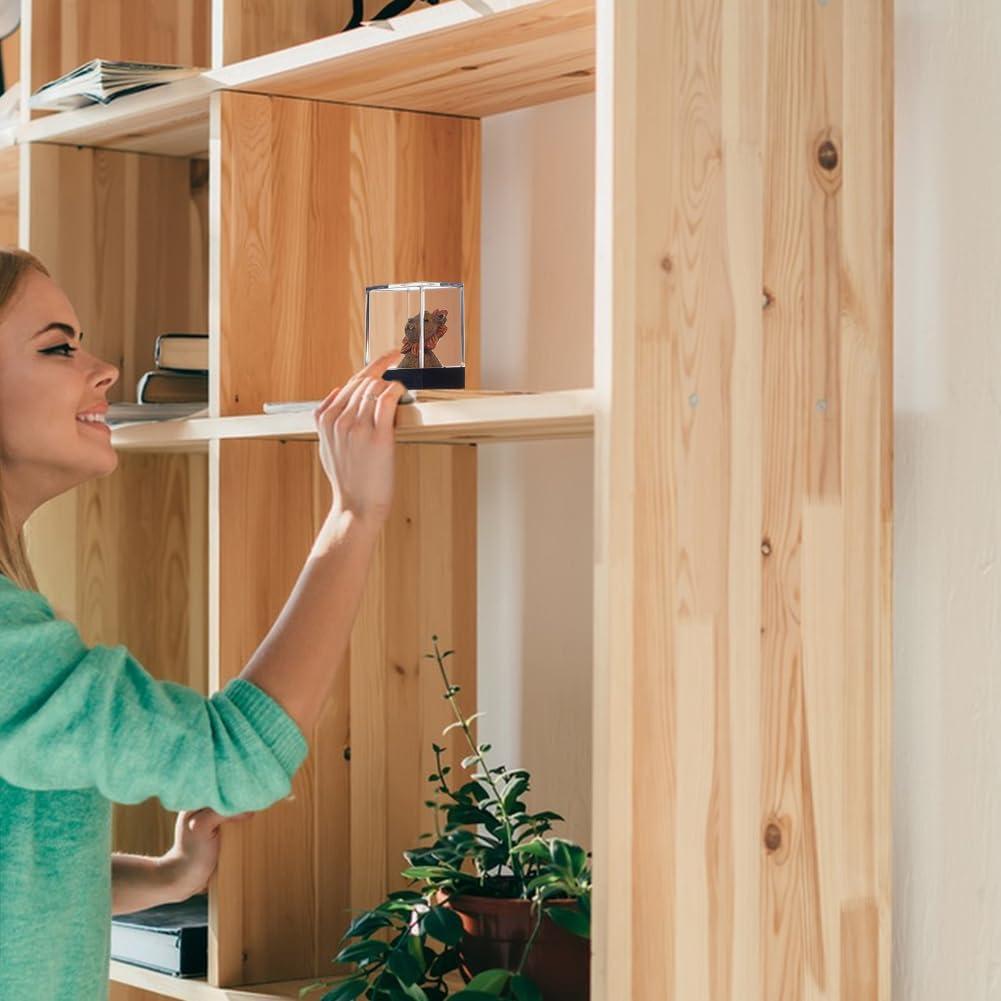 Caja de Exhibición Plástica FINGERINSPIRE 4 Pcs 3.81x3.81x6.86cm