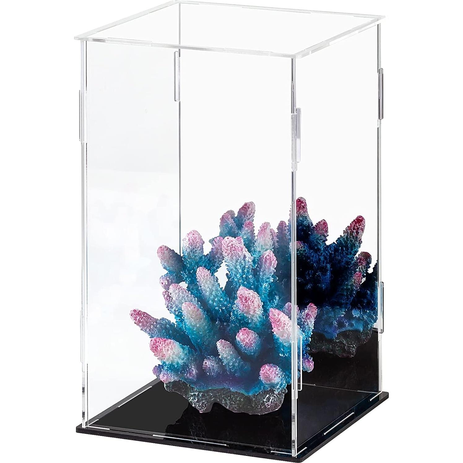 Caja de Exhibición Acrílica CECOLIC 15x15x25cm Negra con Espejo