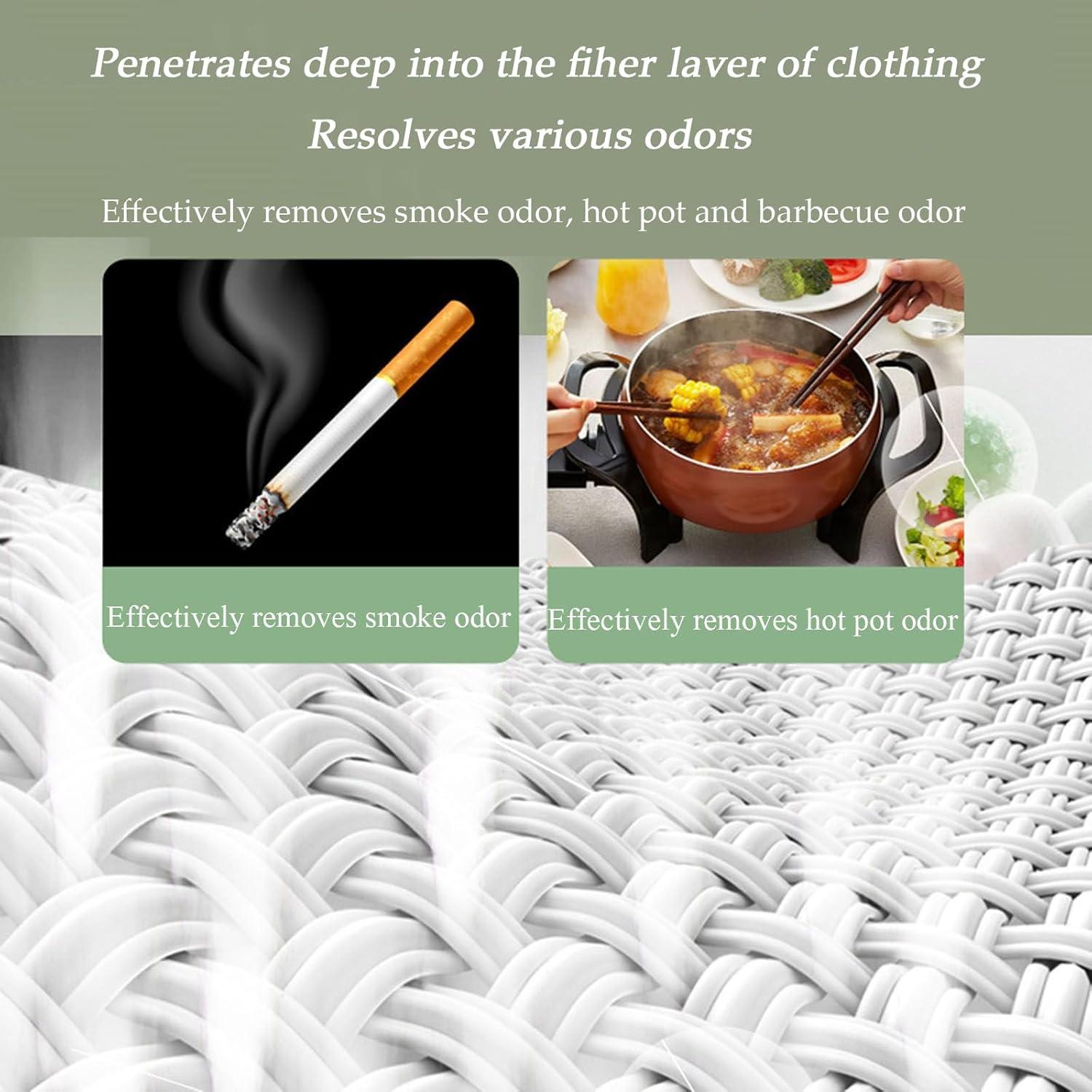 Secador Portátil de Ropa Ezonexue 800W con Control Remoto