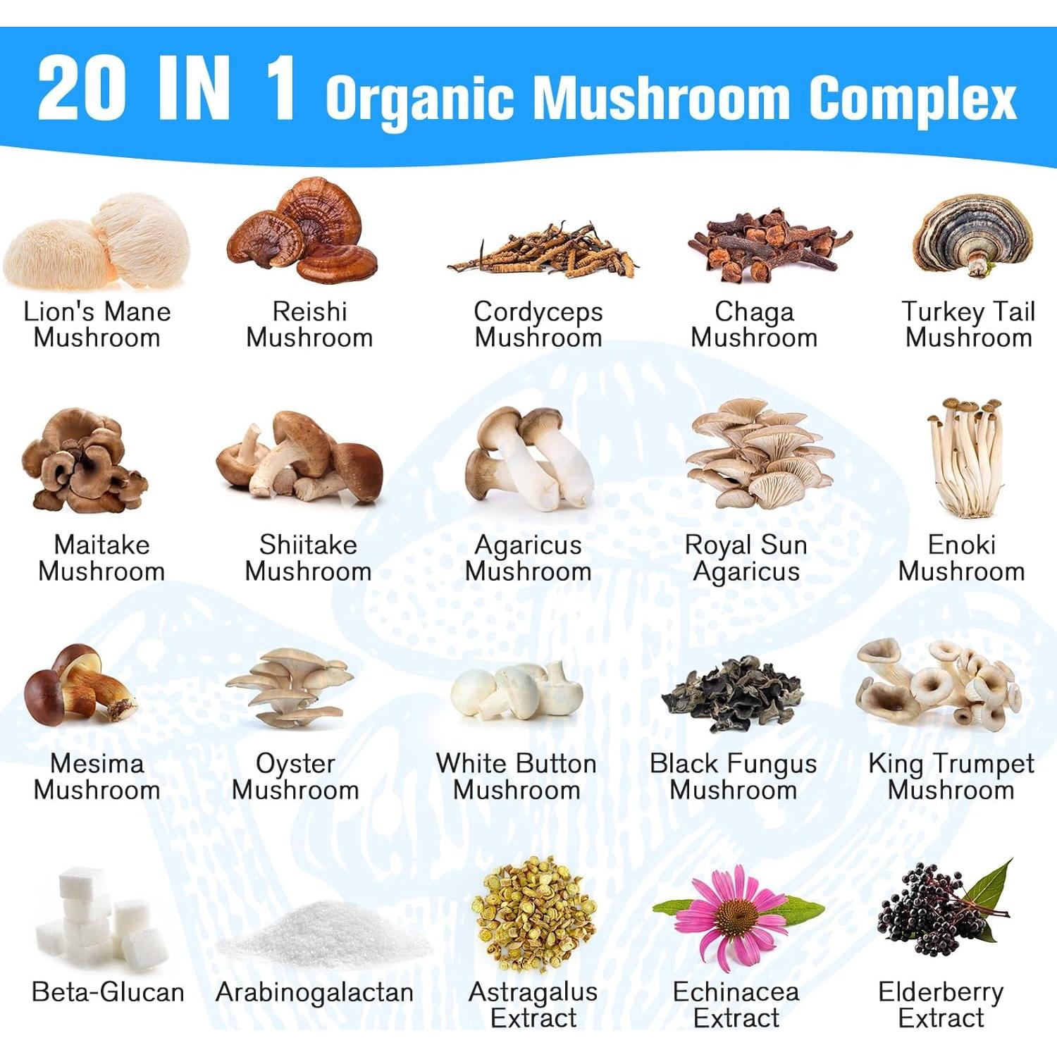 Suplemento de Champiñón Dmeisy 2600mg 120 Cápsulas