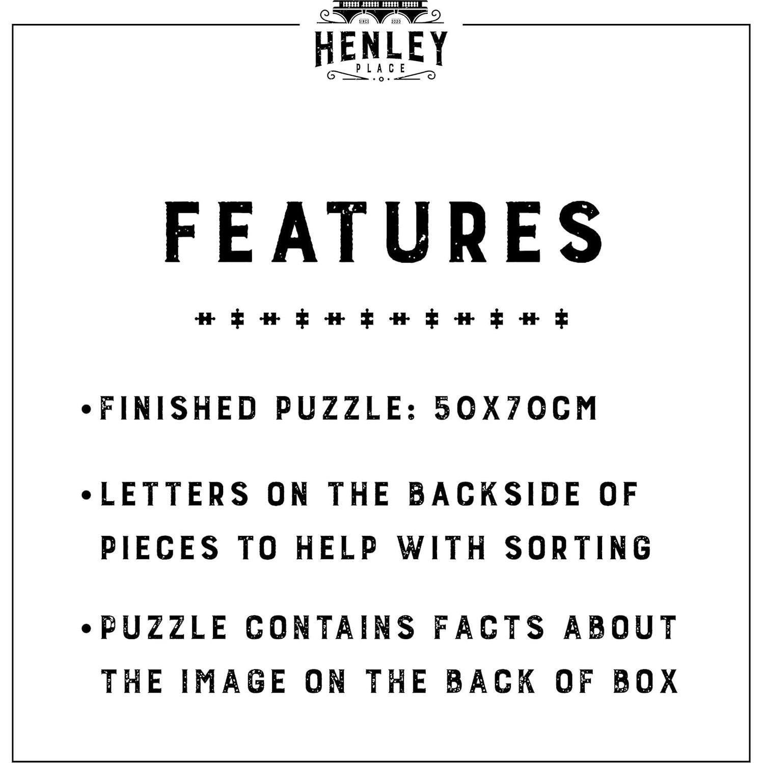 Rompecabezas Galaxia Estrellada Henley Place 1000 Piezas 50.8x68.6 cm