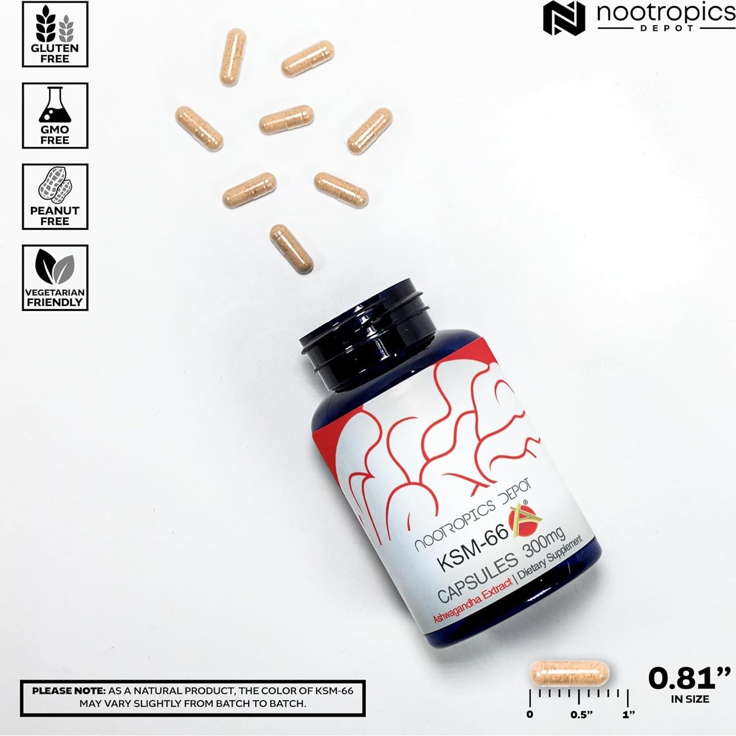 Cápsulas KSM-66 Ashwagandha Nootropics Depot 300mg 90 Unidades