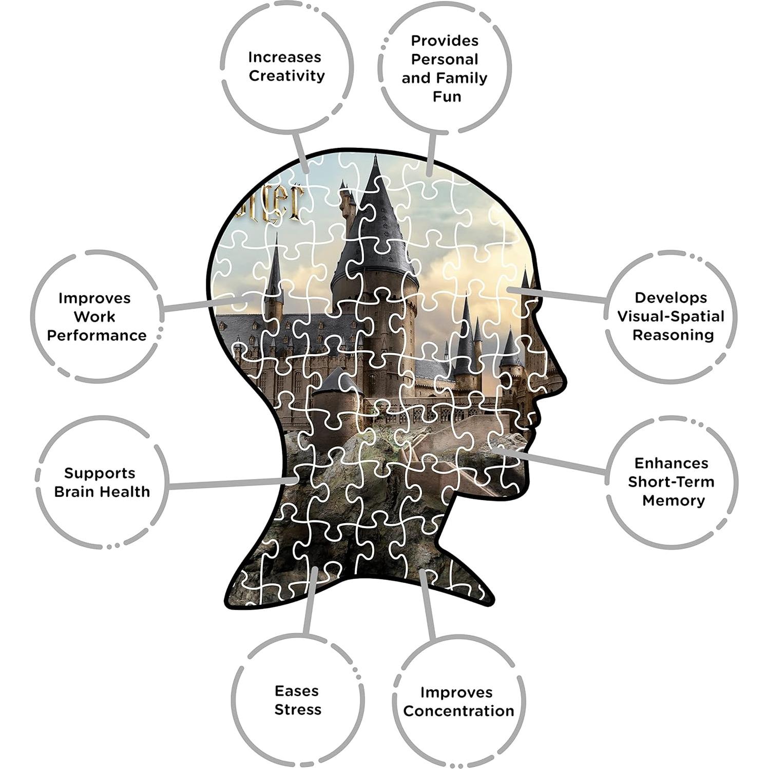 Rompecabezas Harry Potter Aquarius Castillo de Hogwarts 3000 Piezas