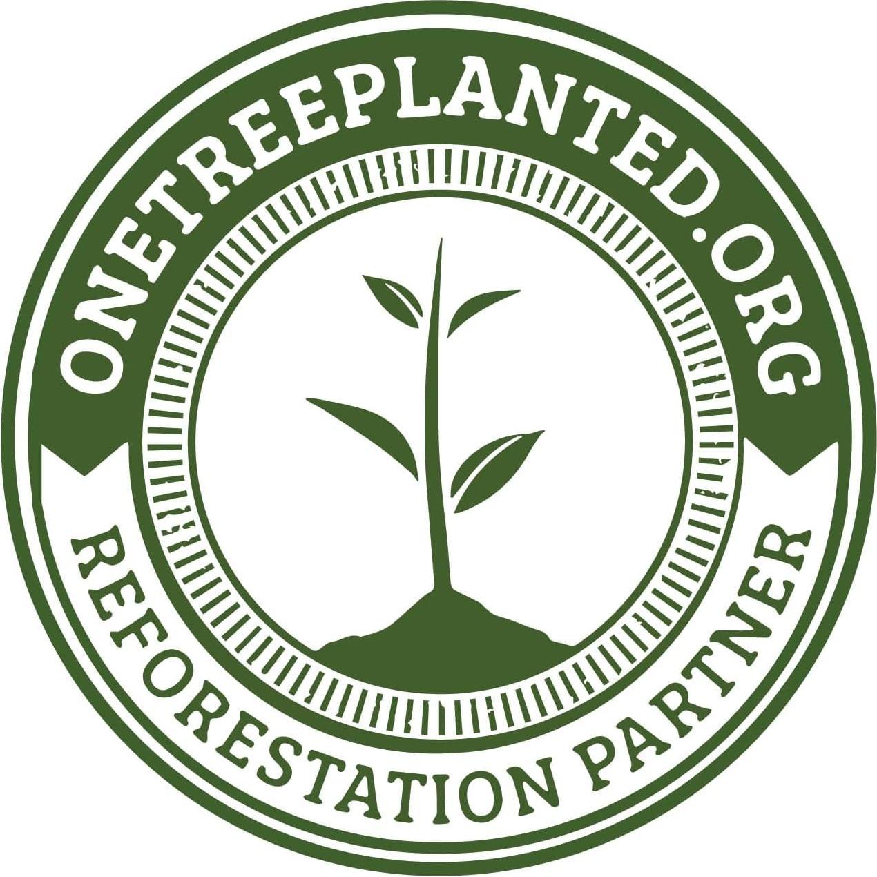 Rompecabezas 1000 Piezas Madalina Tantareanu San Francisco