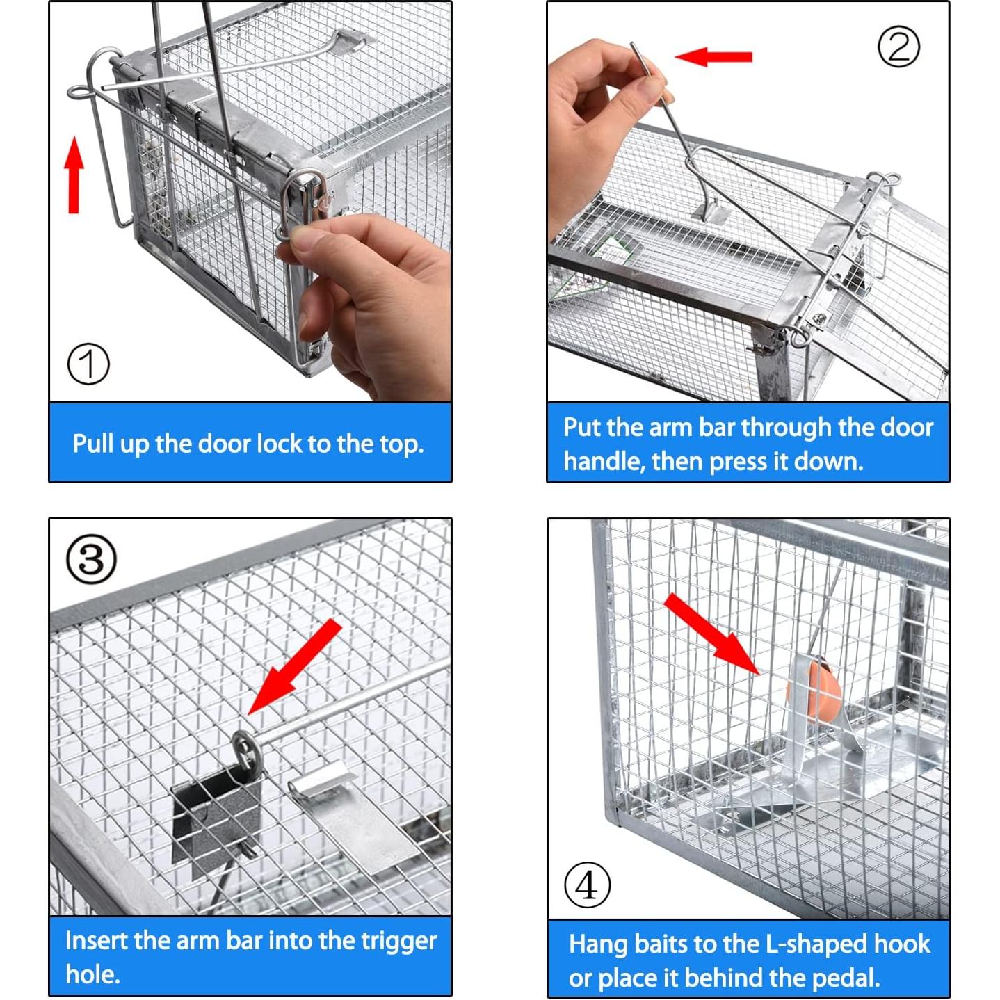 Trampa Humana para Ratas Gingbau Mediana 31.2x16.8x13.5cm