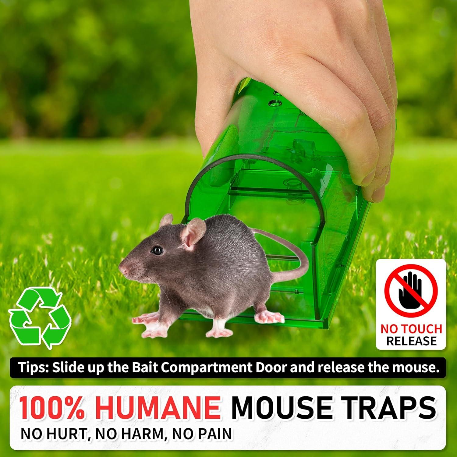 Trampas Humanas para Ratones LULUCATCH 2 Unidades Verde