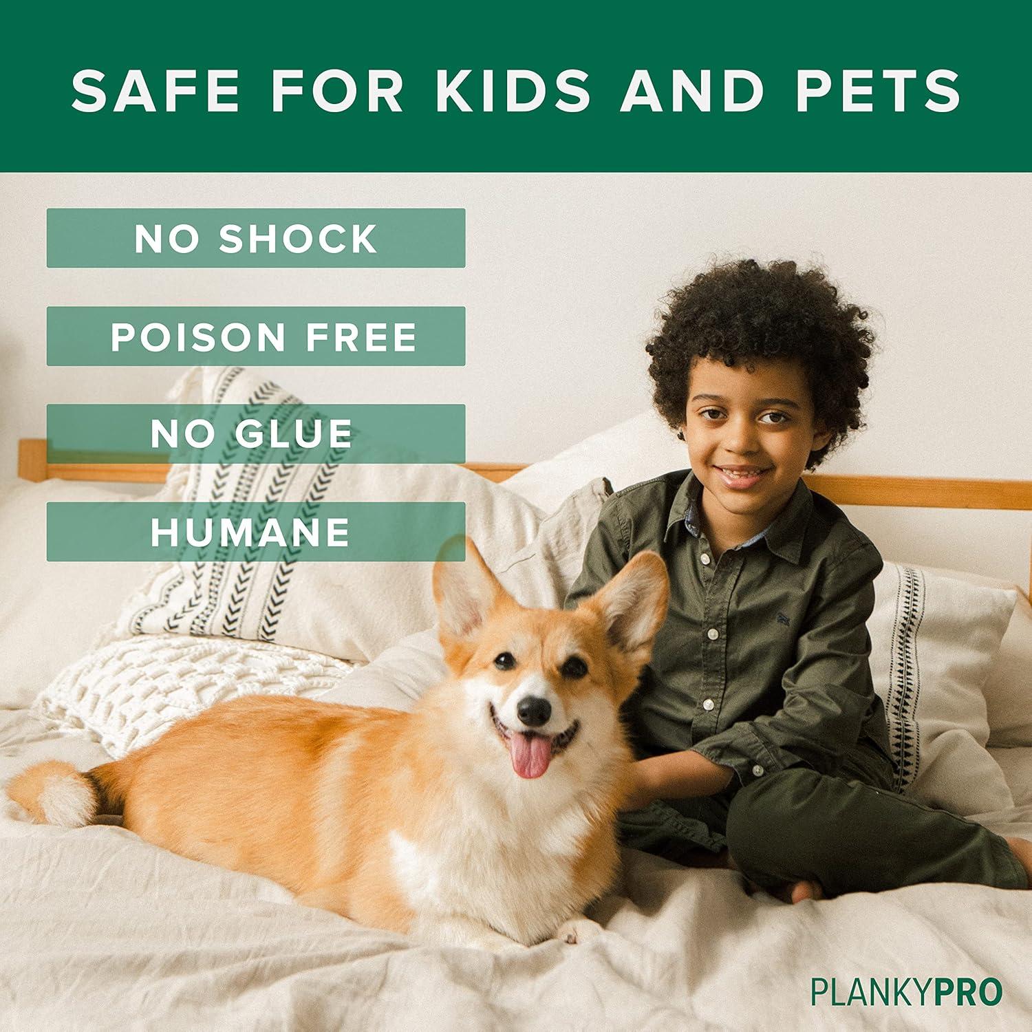 Trampa para Ratones PLANKYPRO | Impermeable y Auto-reinicio