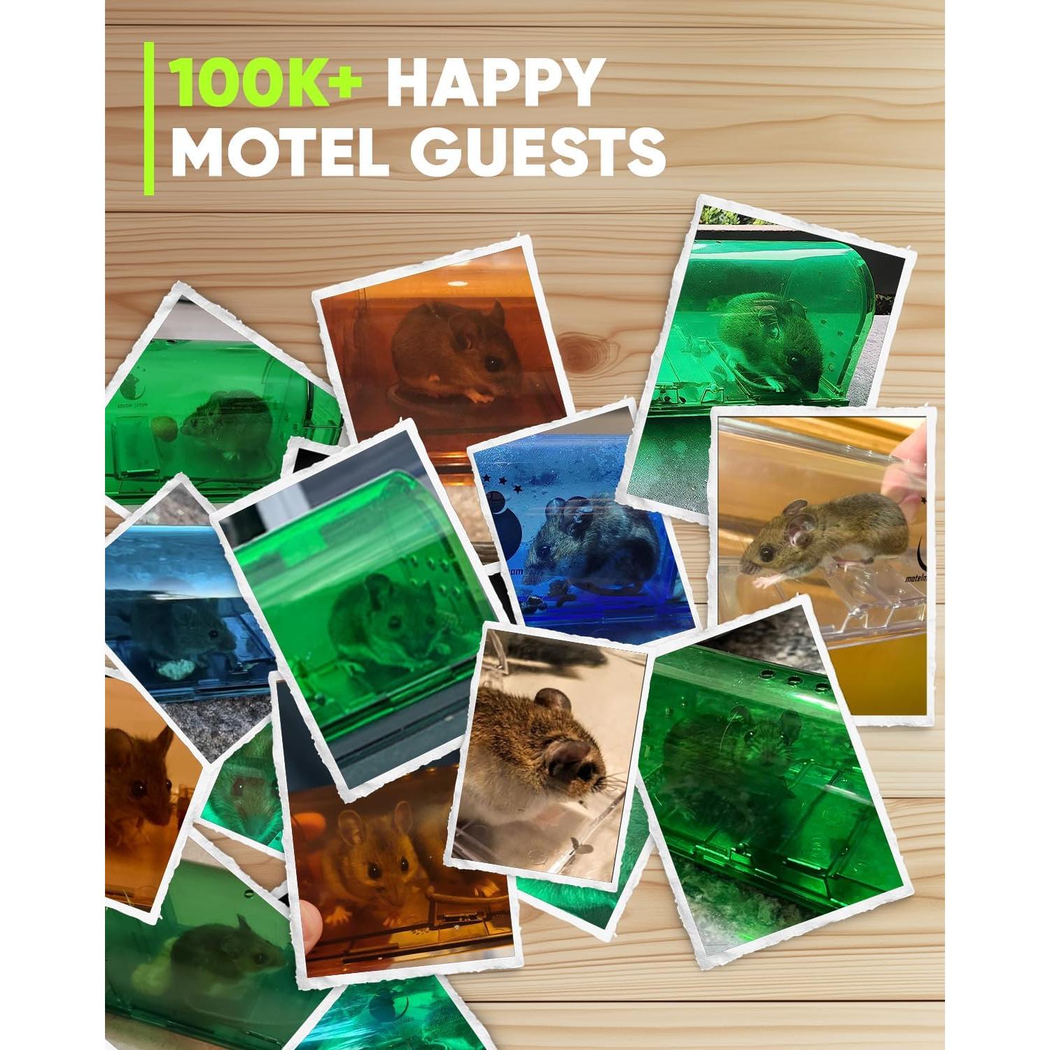 Trampas Humanas para Ratones Motel Mouse 4 Paquete Reutilizables