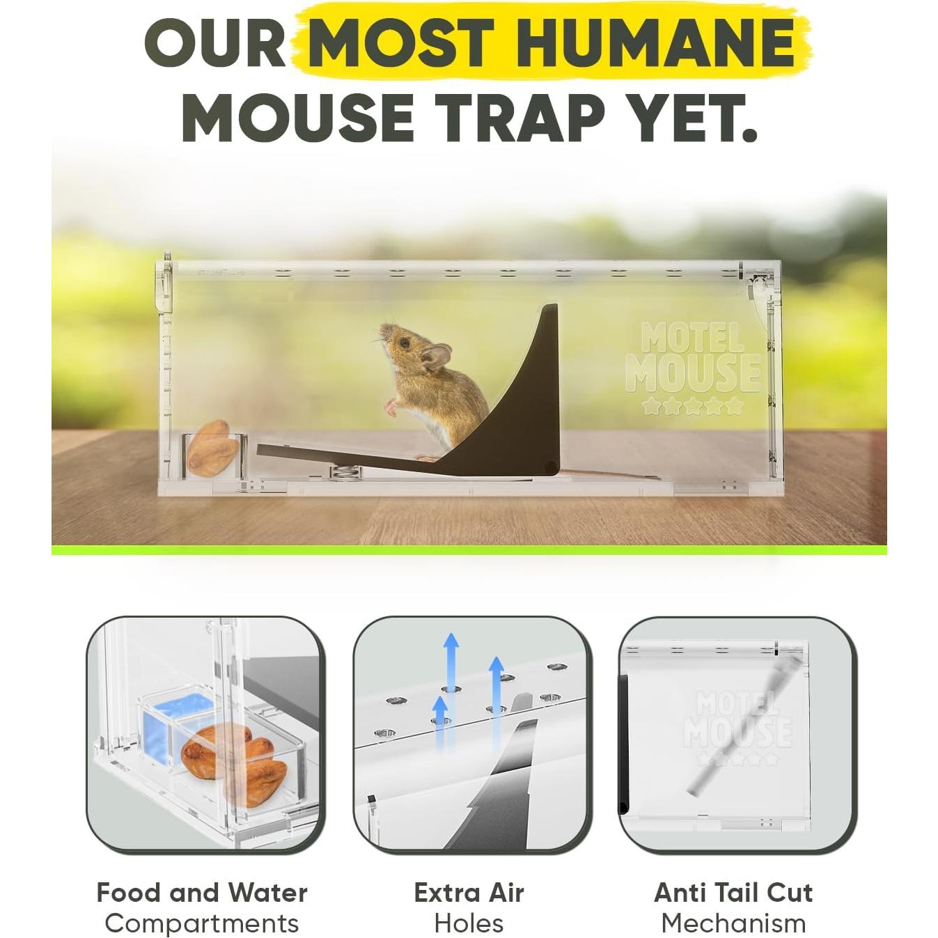 Trampas Humanas para Ratones Motelmouse 4 Unidades Reutilizables