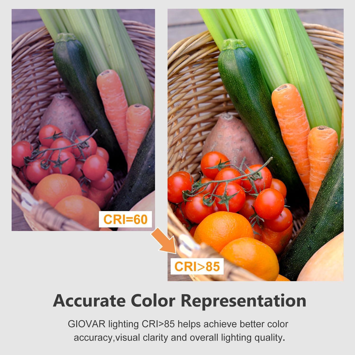 Paquete de 12 bombillas LED GIOVAR E12 6W luz diurna 5000K