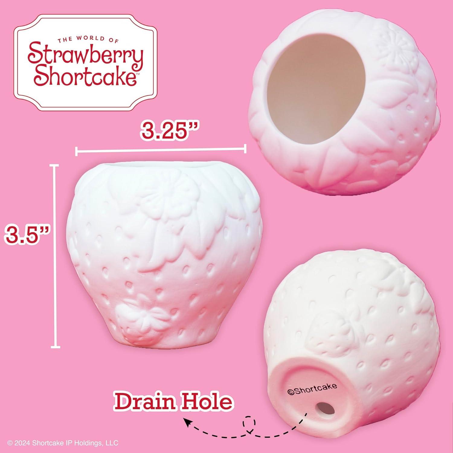 Kit Pinta Tu Propio Macetero de Fresa Horizon Group USA