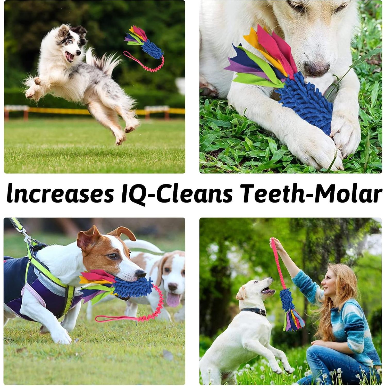 Juguete de Tirar para Perros wodoca - Cuerda Resistente 15cm