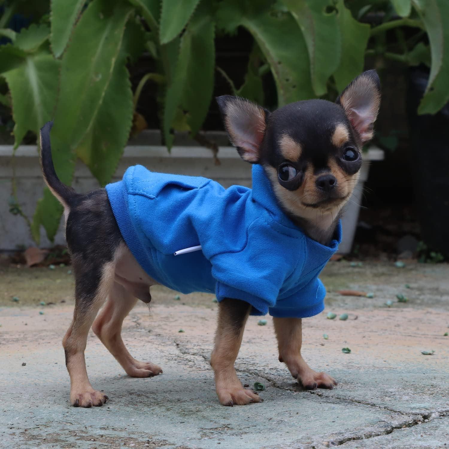 Sudadera LOPHIPETS para Perros Pequeños Azul X-Pequeño