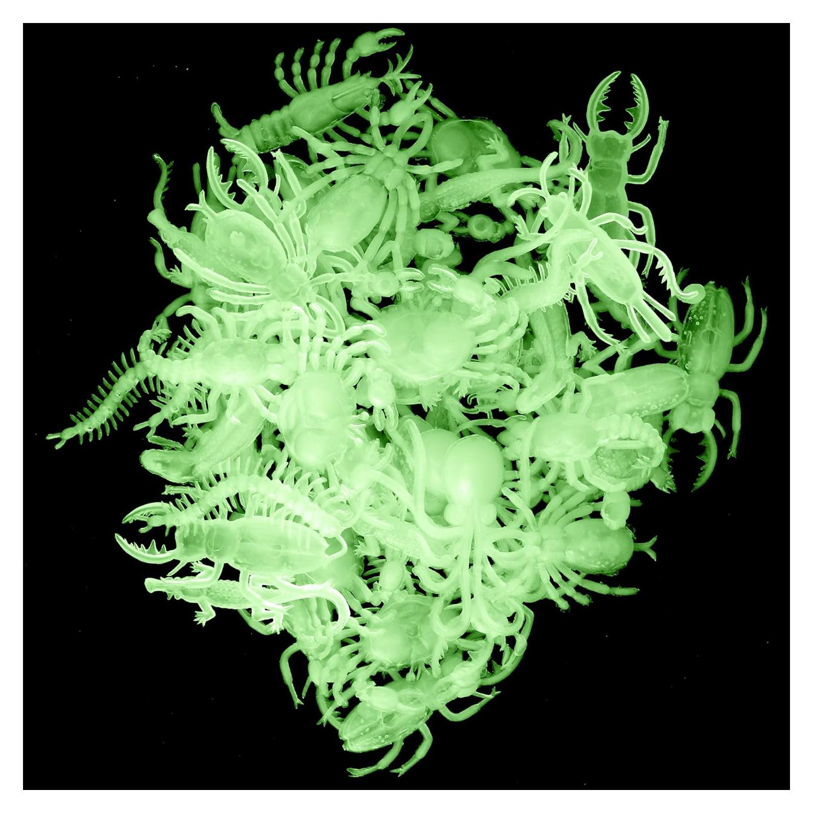 Insectos que Brillan en la Oscuridad - 144 Piezas - Skeleteen