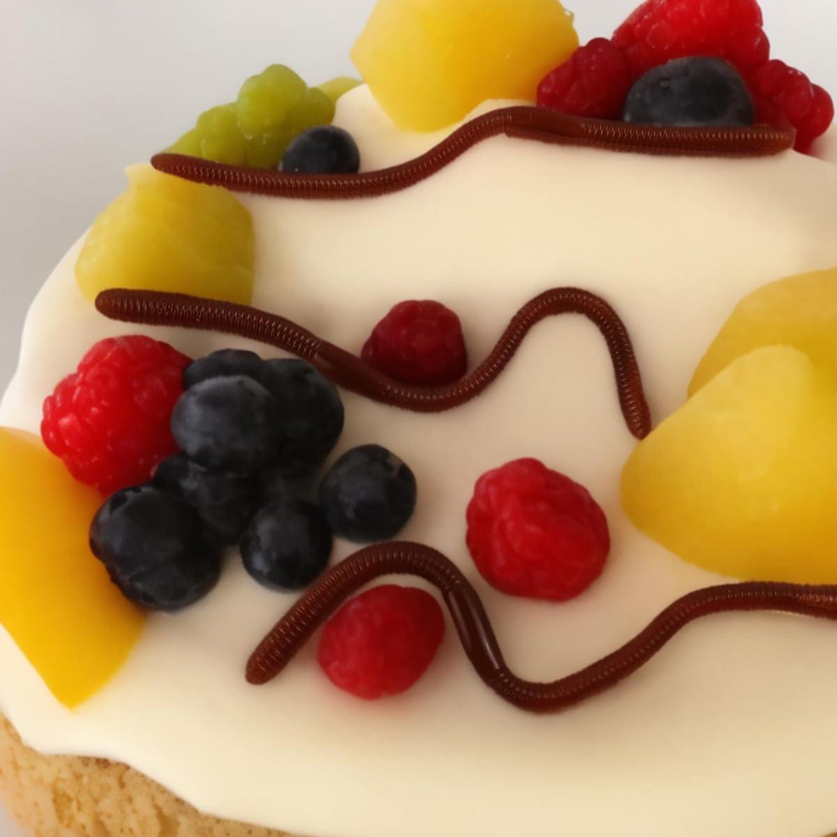 30 Gusanos de Tierra Falsos RONYOUNG 18cm Juguete de Broma