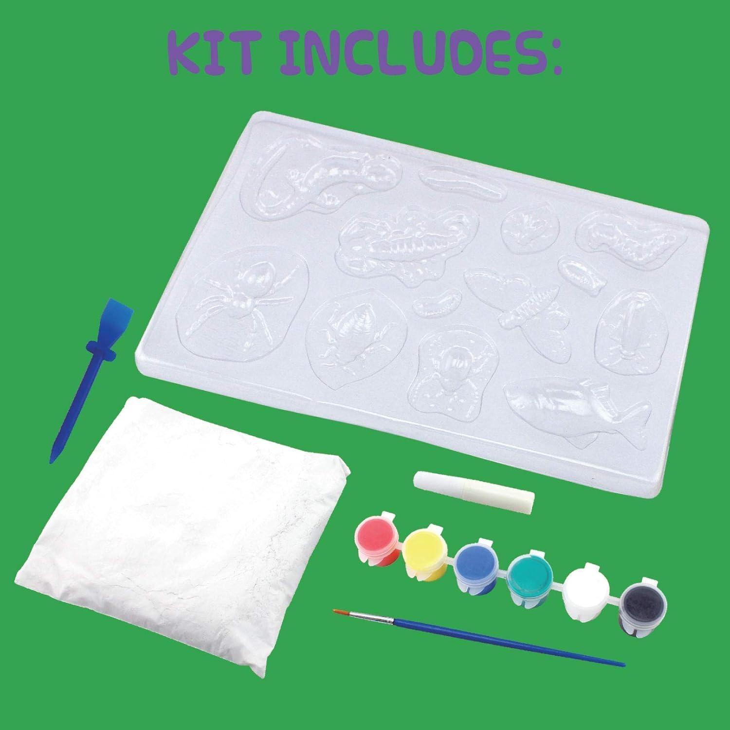 Kit de Moldear y Pintar Insectos Peachy Keen Crafts