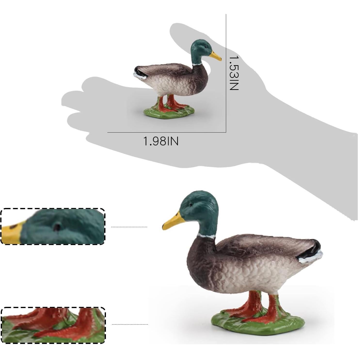 LC JoyCre Mallard Duck Figurines Plastic Duck Toy for Kids Farm Animal Figurines Toy for Toddlers Teaching Tools Educational Gift 3 4 5 6