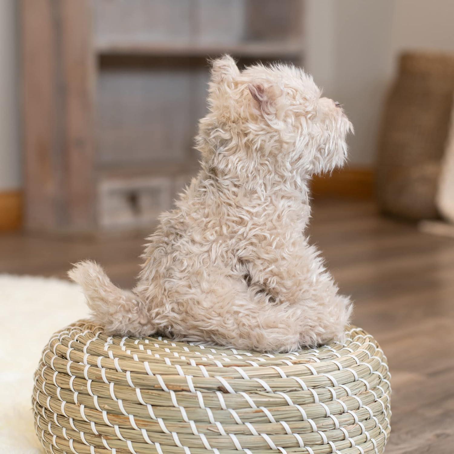 Juguete de Peluche Perro Rescatado DEMDACO Chorkie 25.4 cm