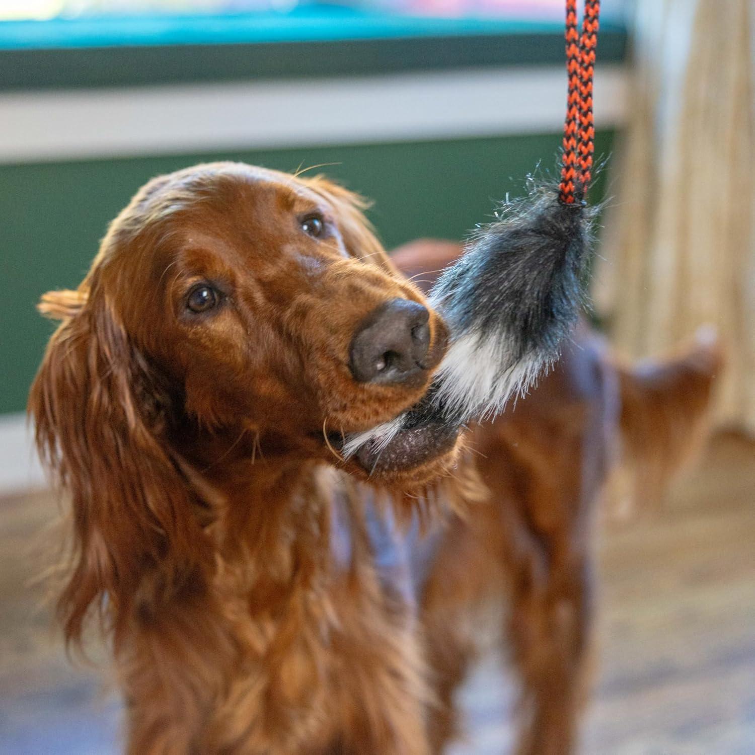 Cebo de Reemplazo Outward Hound Tail Teaser Zorro 15.88cm