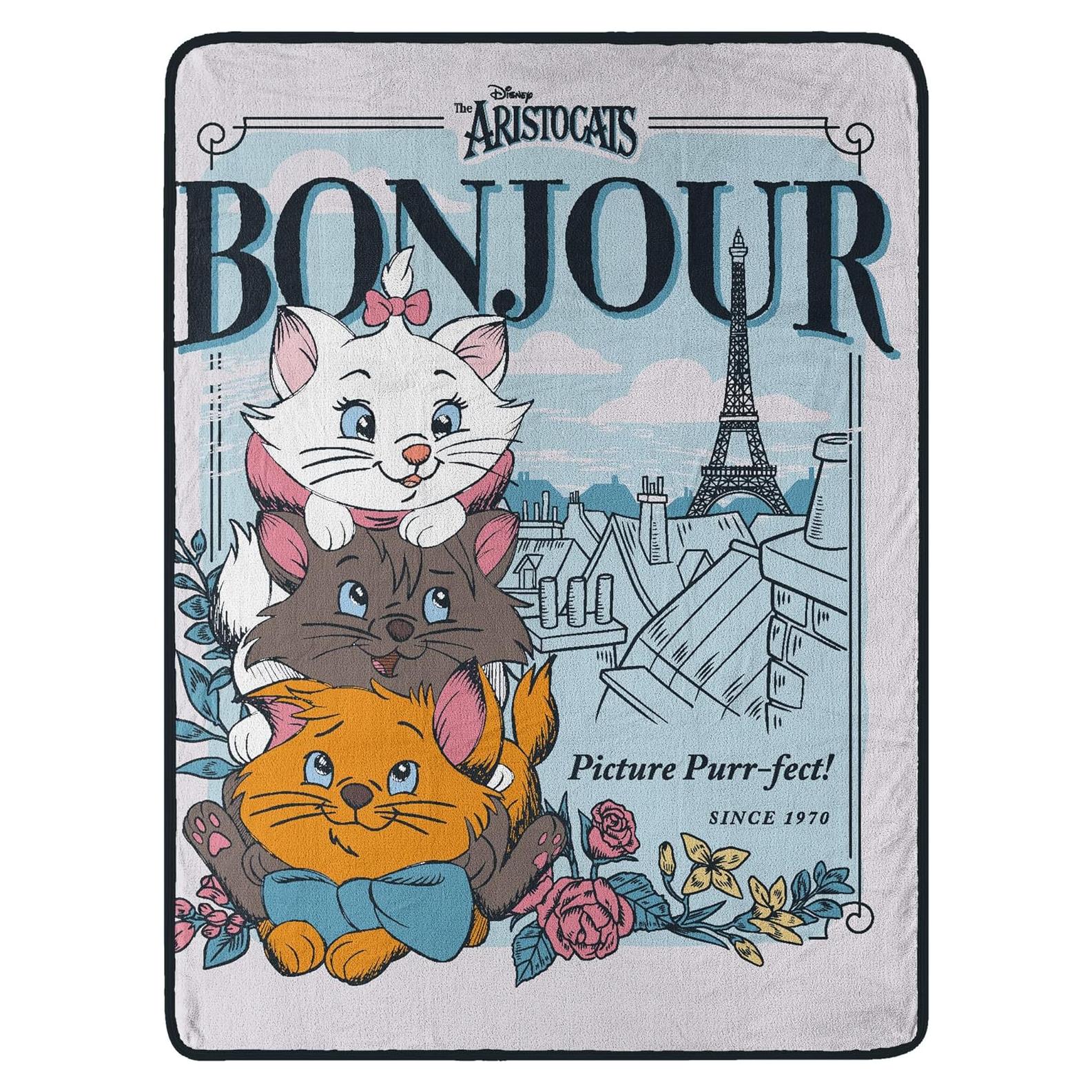 Manta Micro Raschel Disney Aristogatos Bonjour 116.8x152.4cm