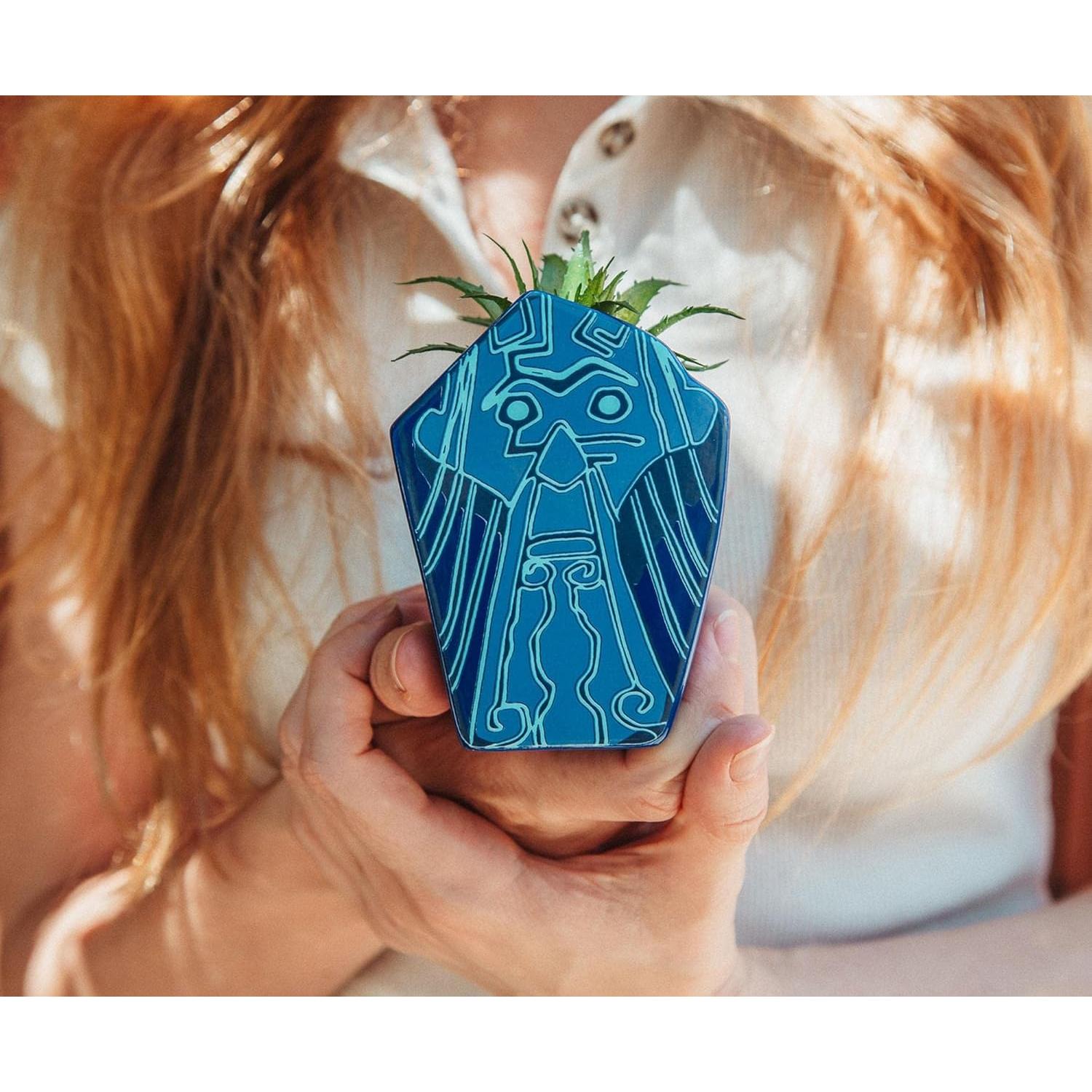 Maceta Mini Cerámica Silver Buffalo Atlantis 10.16 cm con Suculenta