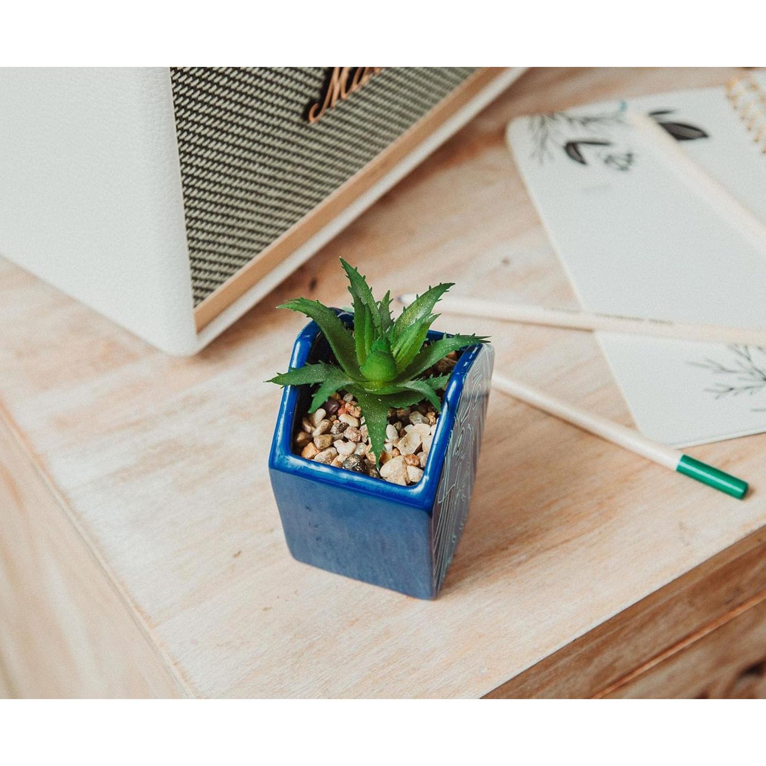 Maceta Mini Cerámica Silver Buffalo Atlantis 10.16 cm con Suculenta