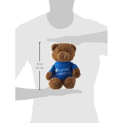 Oso de Peluche GUND 30 cm Mensajero Camiseta Azul Hermano Mayor