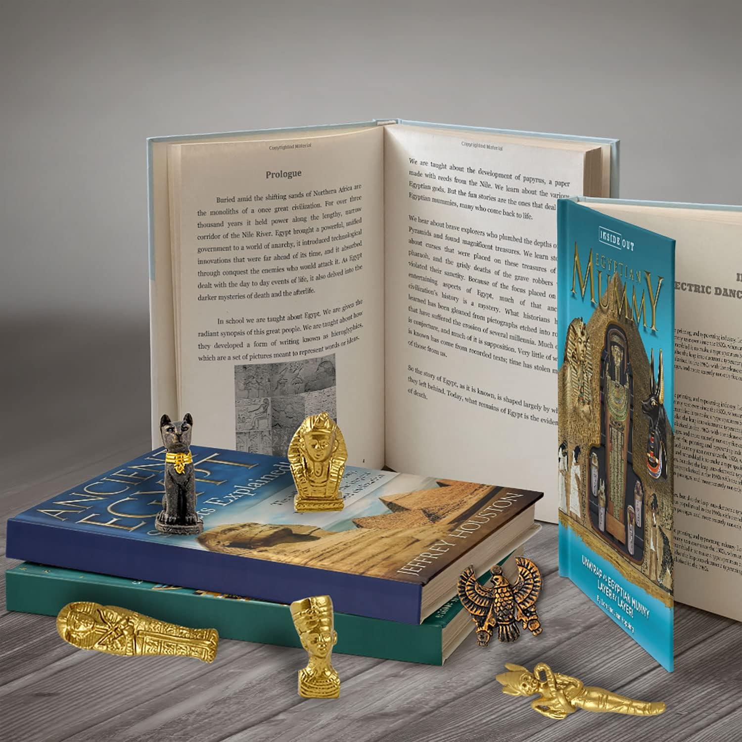 Kit de Excavación de Momia Egipcia XXTOYS - Juguete Educativo STEM