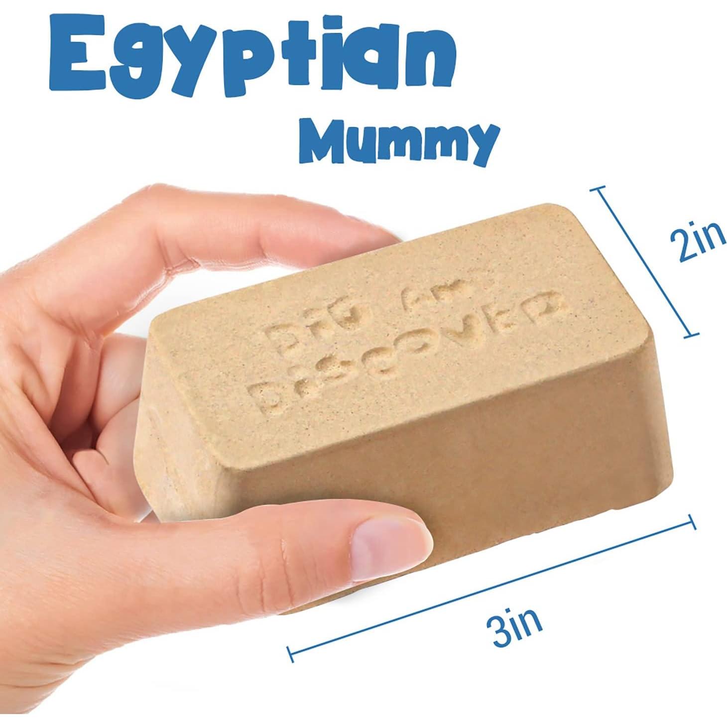 Kit de Excavación de Momia Egipcia XXTOYS - Juguete Educativo STEM