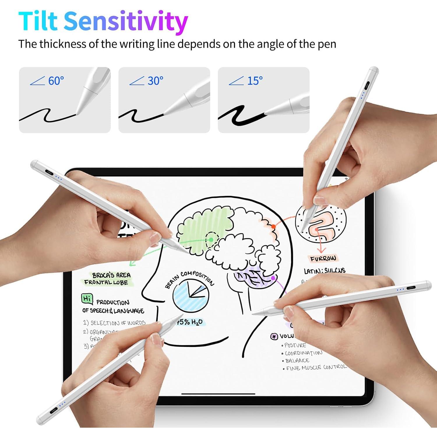 Lápiz Stylus JEDOUBAL para iPad con Rechazo de Palma