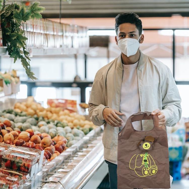 10 Bolsas de Compras Plegables Ecológicas YUYIKES Animales