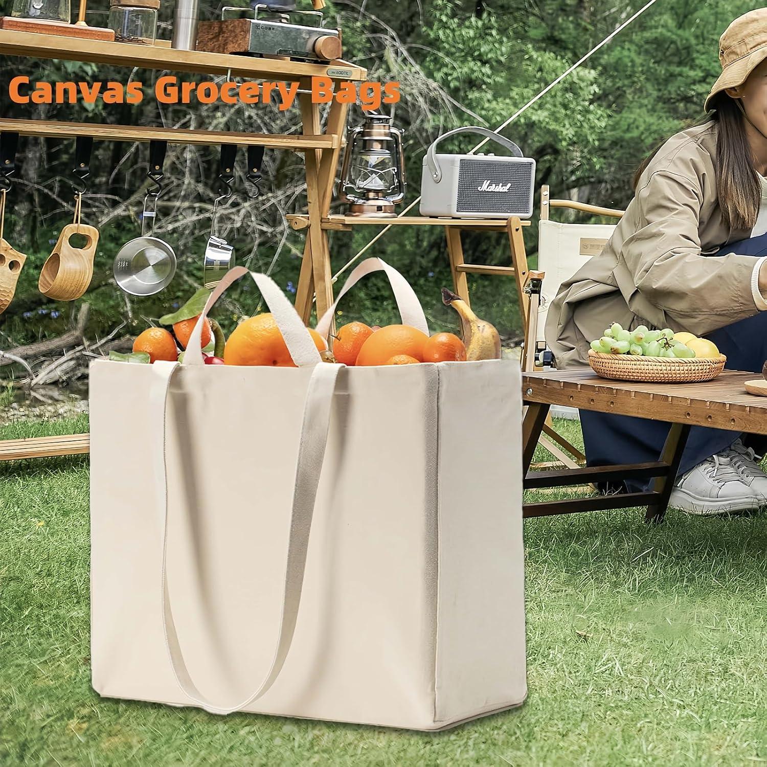 Bolsa de Lona Reutilizable LINICE 3 Paquete 38x33x17cm