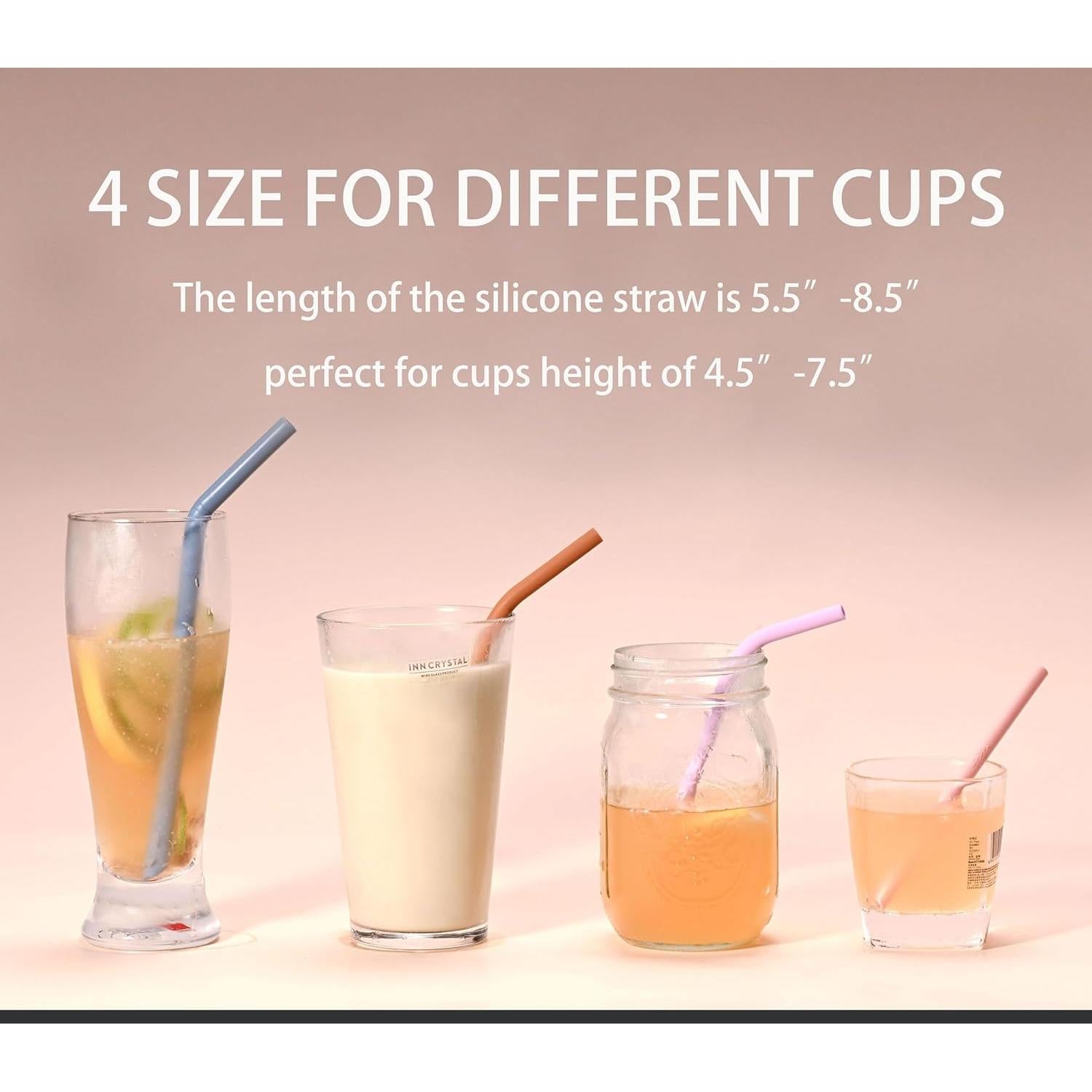 Popotes de Silicona Reutilizables Tegion - 4 Tamaños con Fundas