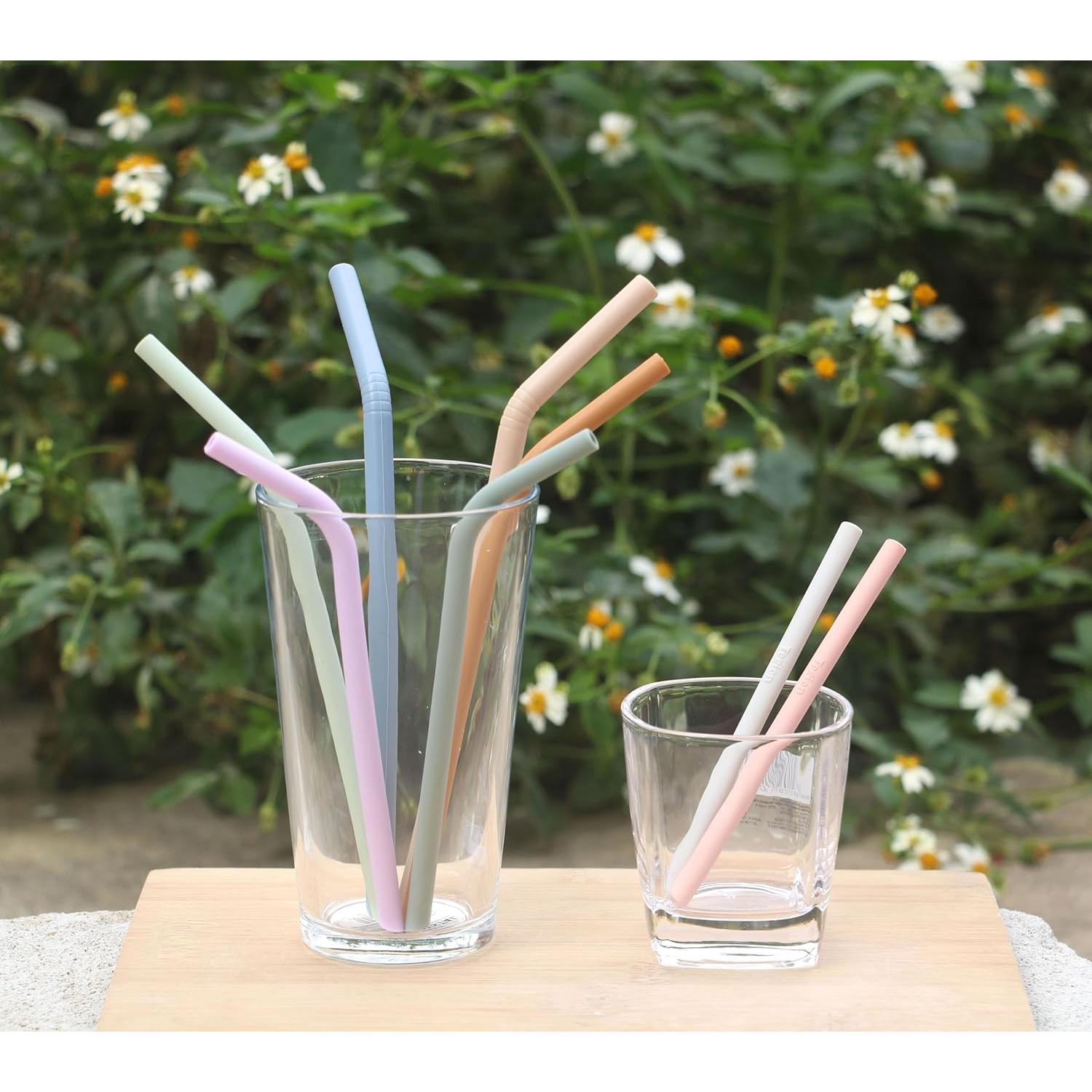 Popotes de Silicona Reutilizables Tegion - 4 Tamaños con Fundas