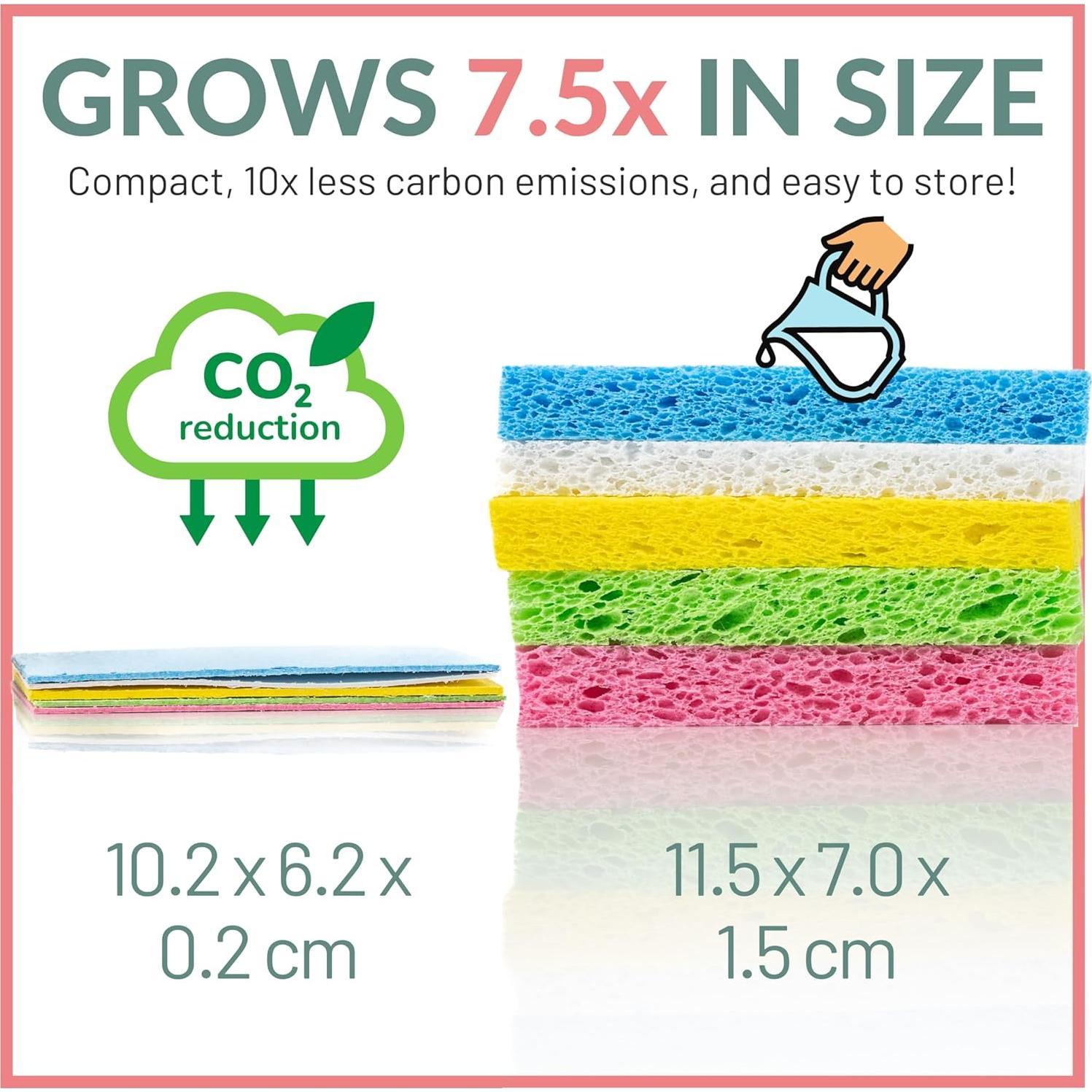 Esponjas Compostables bioGo 30 Unidades - Ecológicas y Suaves