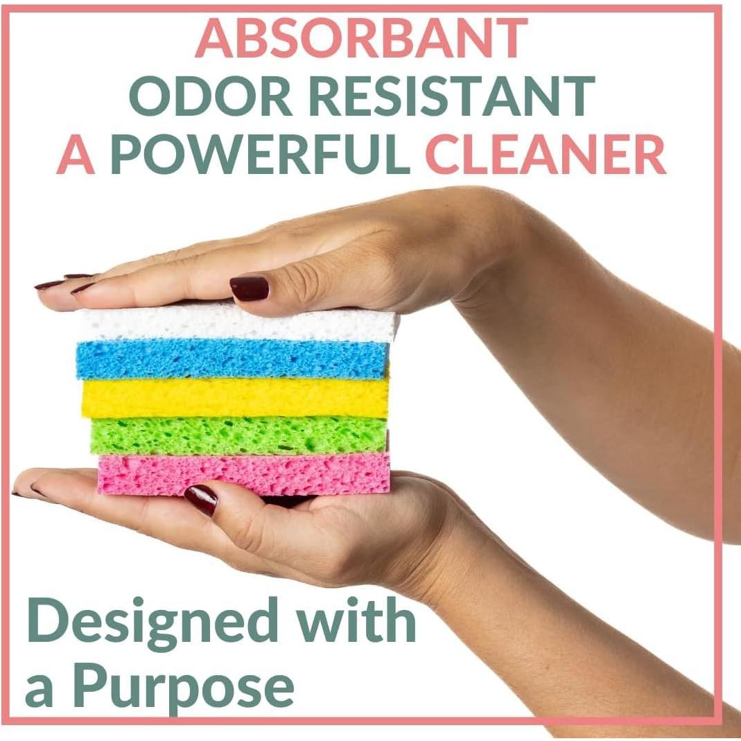 Esponjas Compostables bioGo 30 Unidades - Ecológicas y Suaves