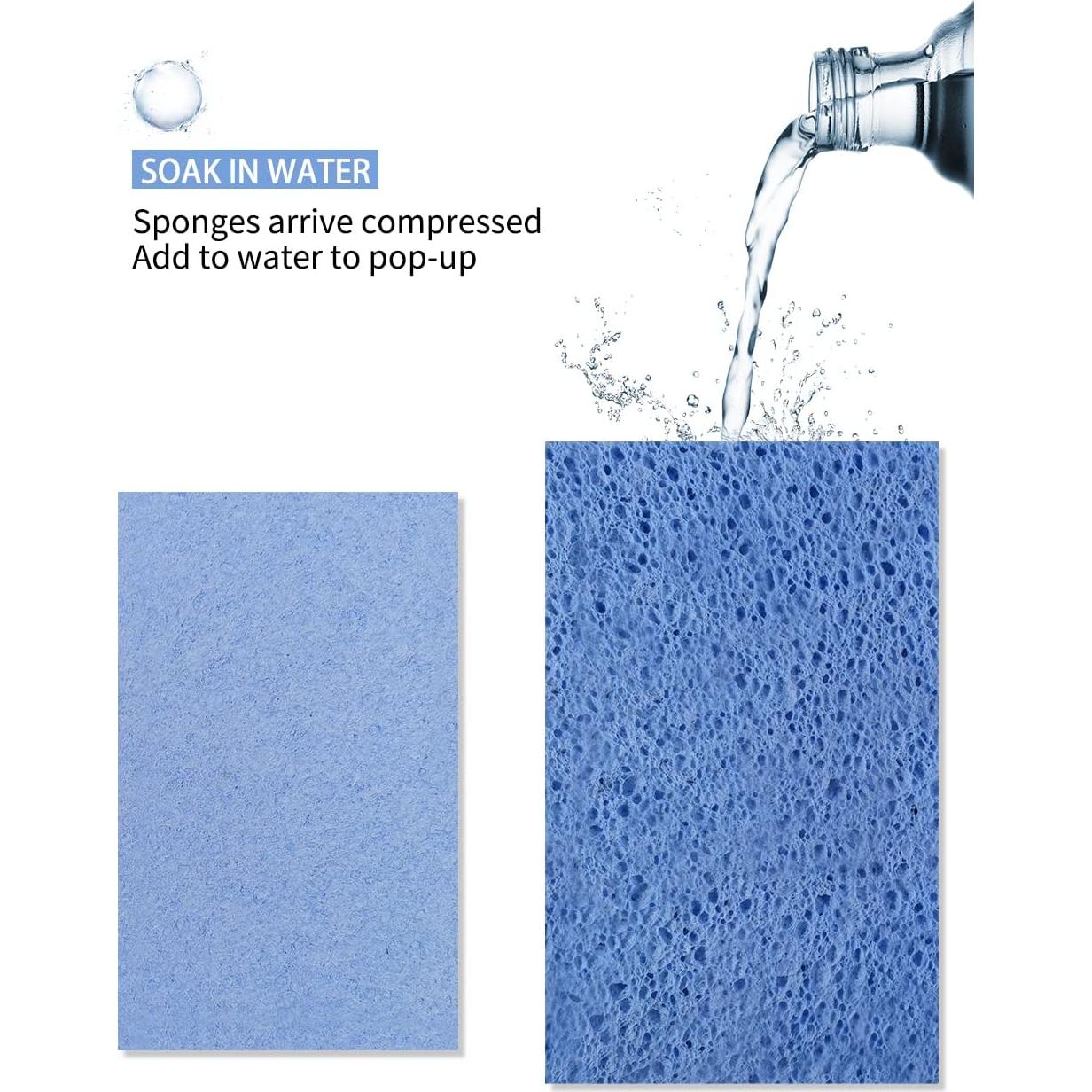 Esponjas de Celulosa Ecológicas Greenet, Paquete de 8 Grandes