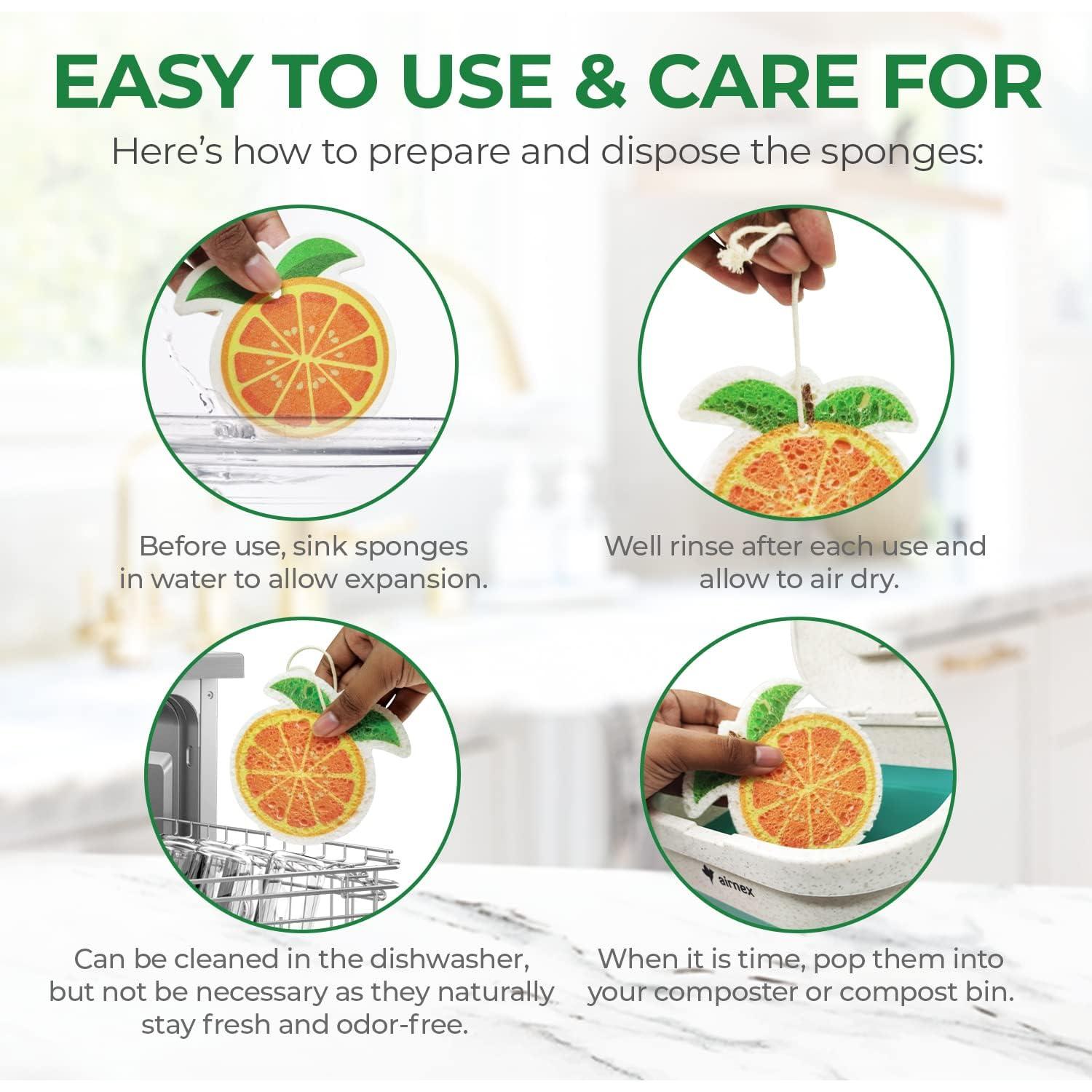 Esponjas Comprimidas Biodegradables AIRNEX - 12 Piezas Ecológicas