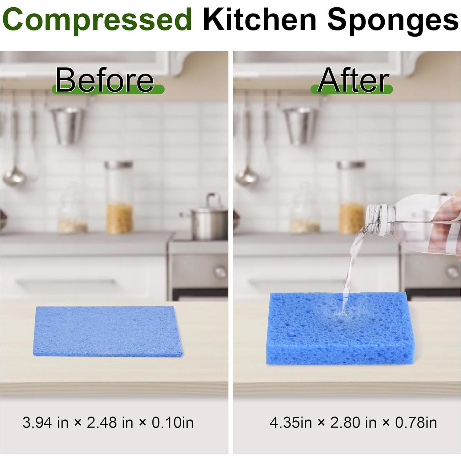 15 Esponjas de Celulosa TaShow Ecológicas para Cocina 10x6.3cm