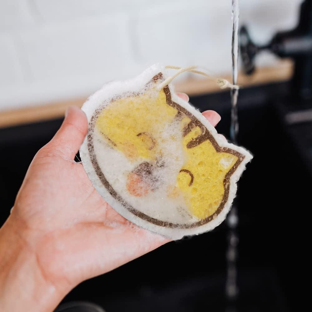 Esponjas de Celulosa Comprimidas Vilphel - Paquete de 8 Gato