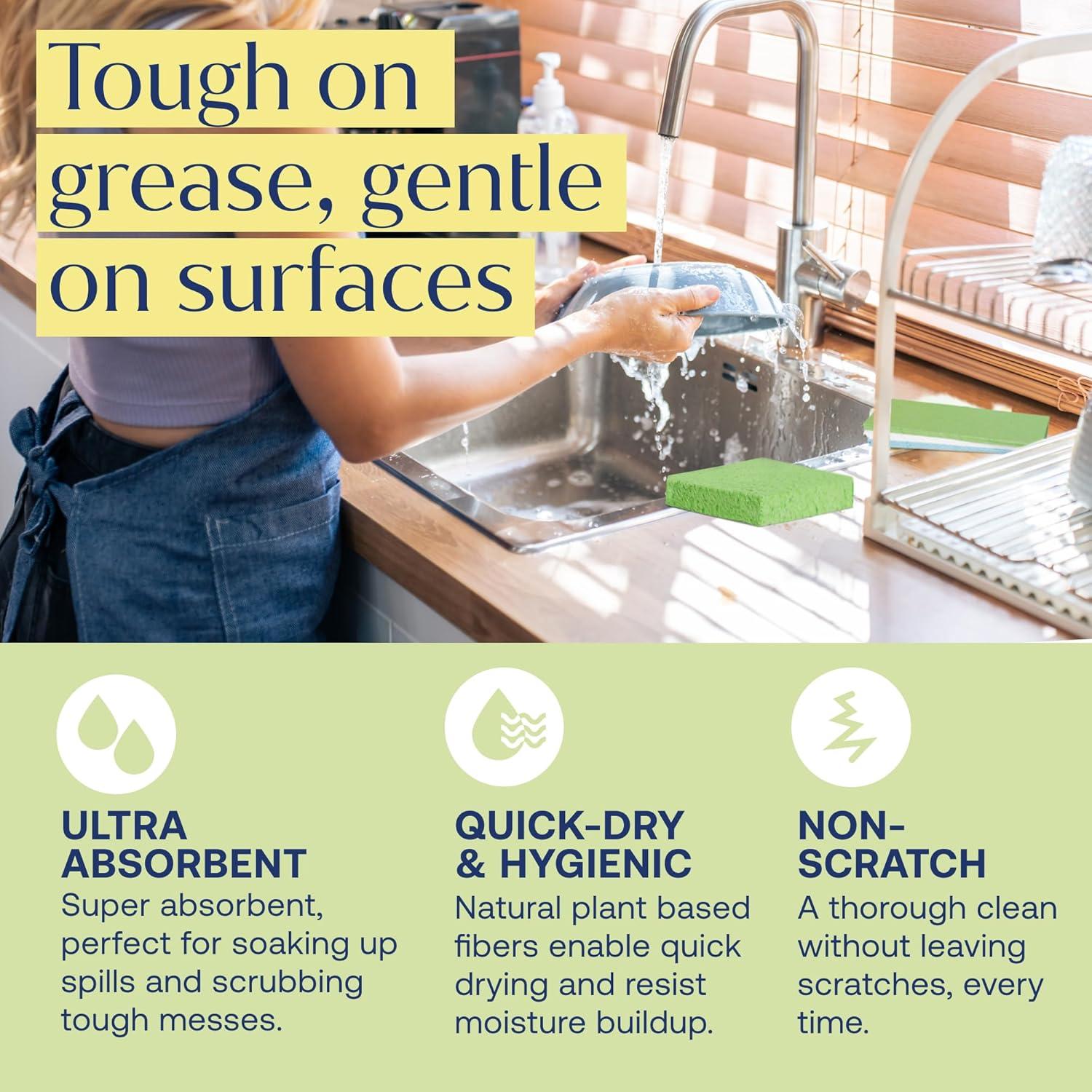 Esponjas Pop-Up Fab Tab - 12 Esponjas de Celulosa Absorbentes