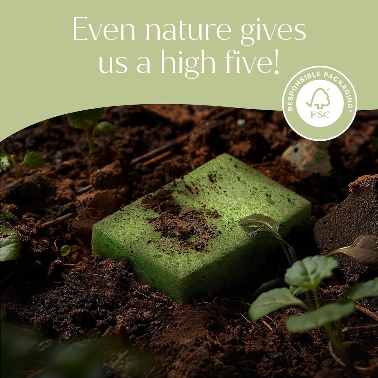 Esponjas Pop-Up Fab Tab - 12 Esponjas de Celulosa Absorbentes