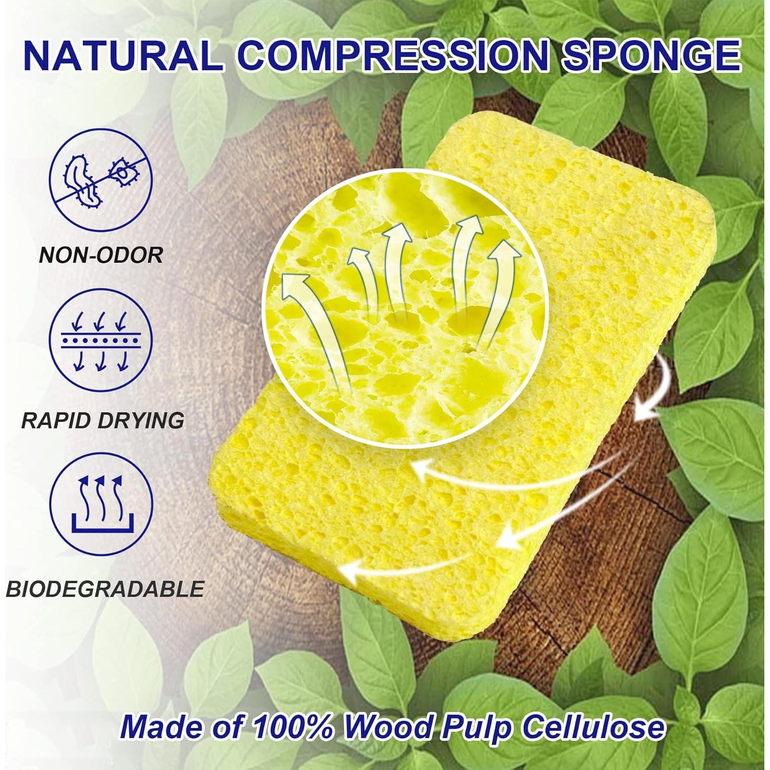 Esponjas Comprimidas CELOX de Celulosa - Paquete de 12 Unidades