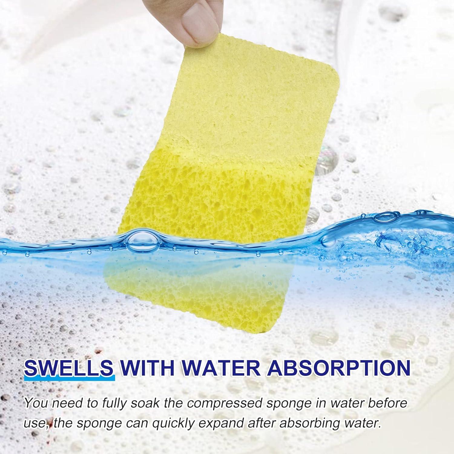 Esponjas Comprimidas CELOX de Celulosa - Paquete de 12 Unidades